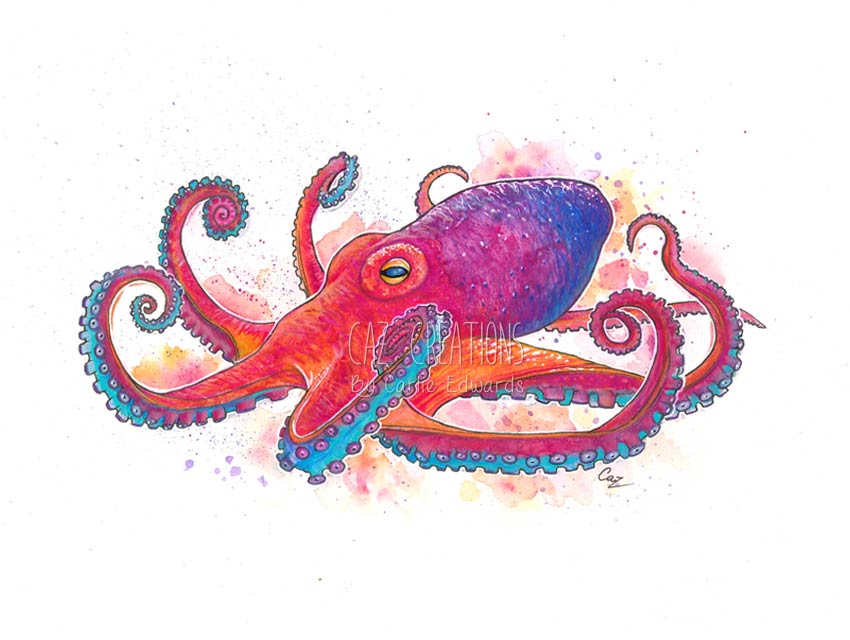 Octopus